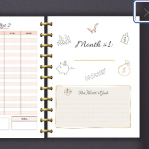 The Organized Money Budget Planner (CLASSIC SIZE)